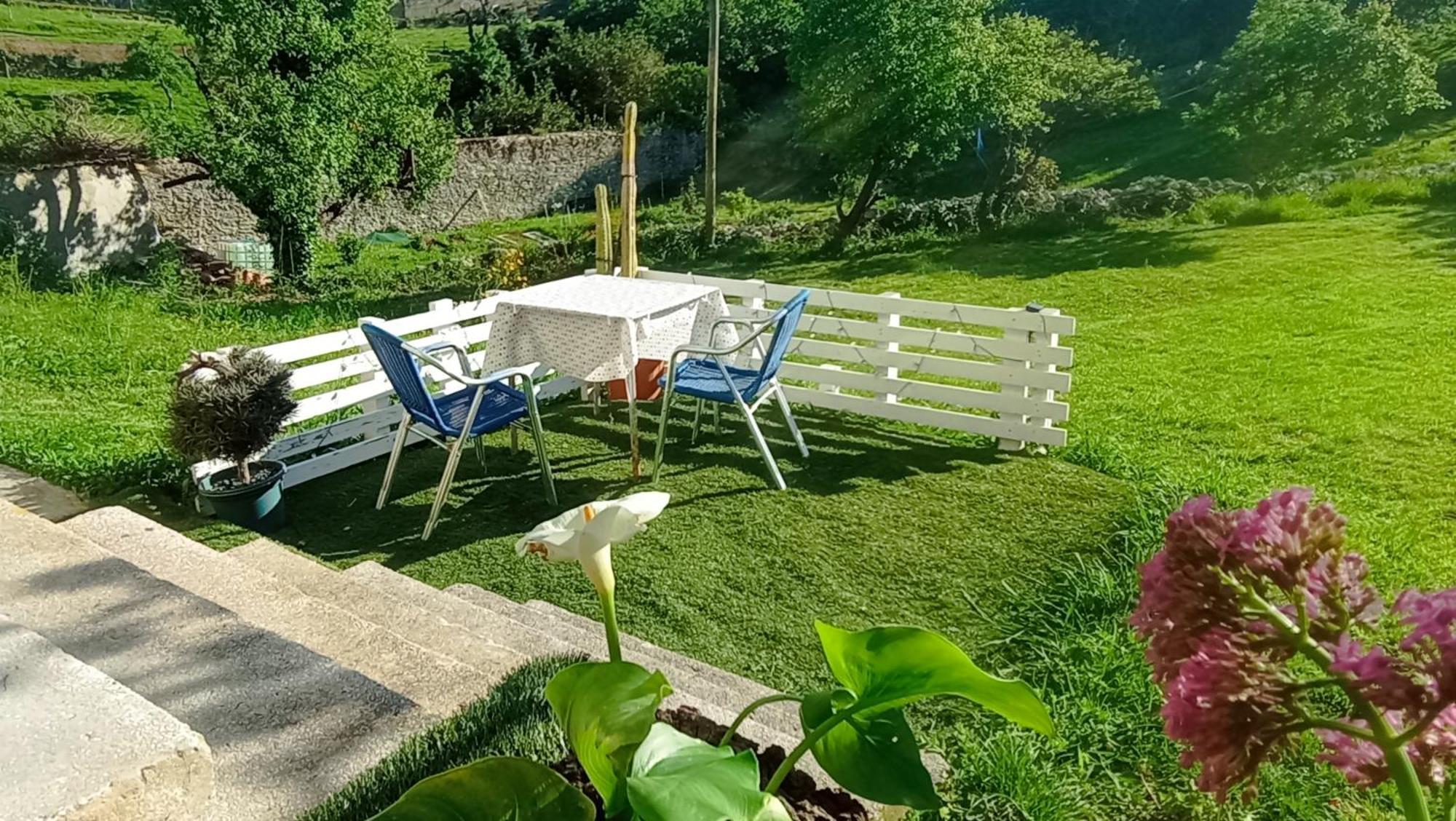 Vivienda En Lekeitio Apartment Ngoại thất bức ảnh